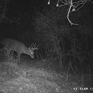 Meet your Posher, Adam